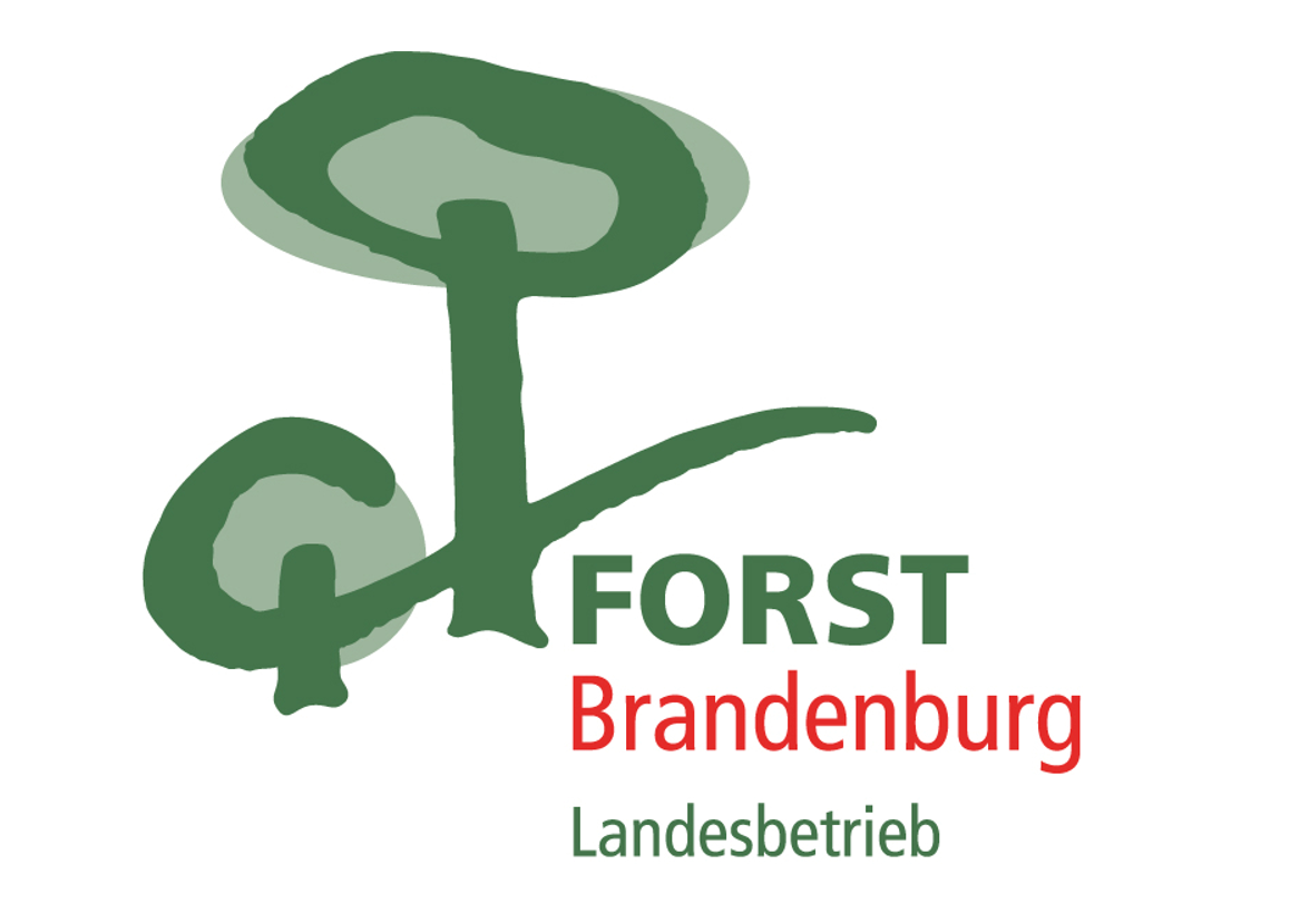 Logo Forst Brandenburg